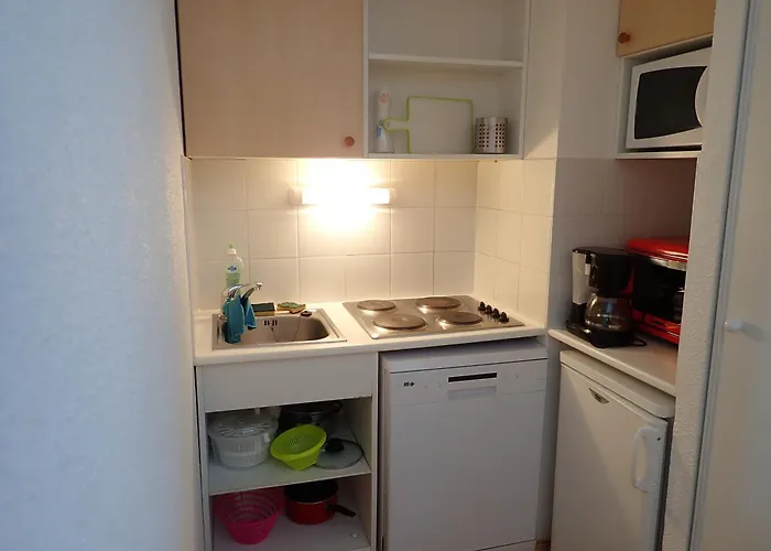 Appt Dans Les Balcons Du Soleil *